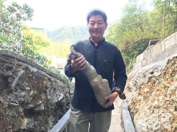 壽昌鎮(zhèn)周村敖樹林，巧手打造迷人庭院